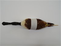 藏品(琵嘴鴨)的圖片